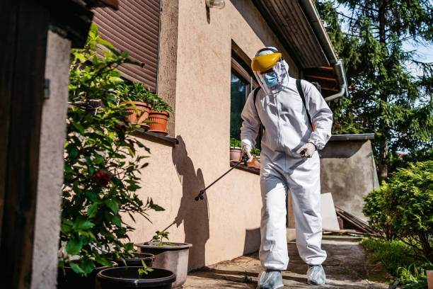 Best Cockroach Control Services  in Eau Claire, WI