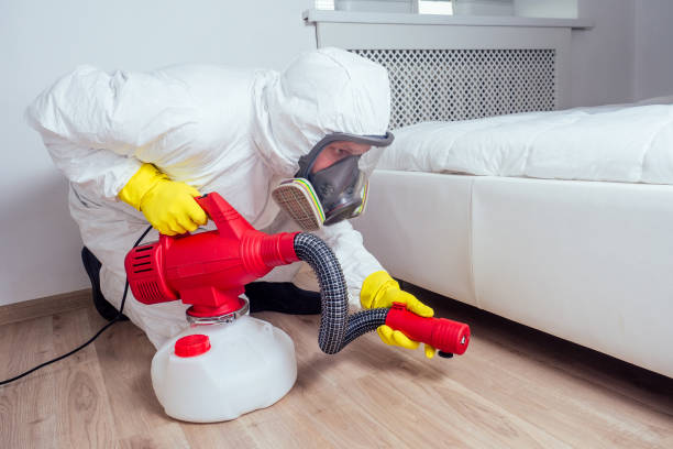 Flea Control Services in Eau Claire, WI