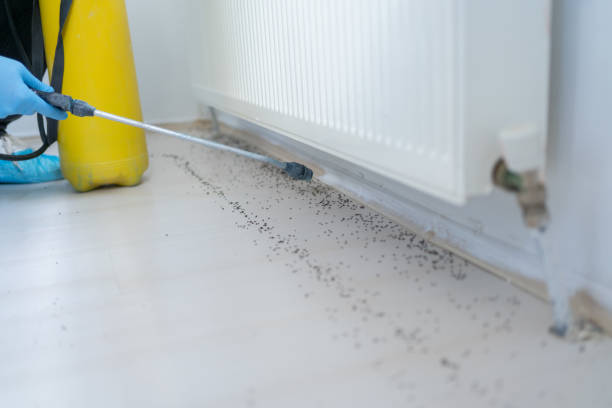 Best Wildlife Control Services  in Eau Claire, WI